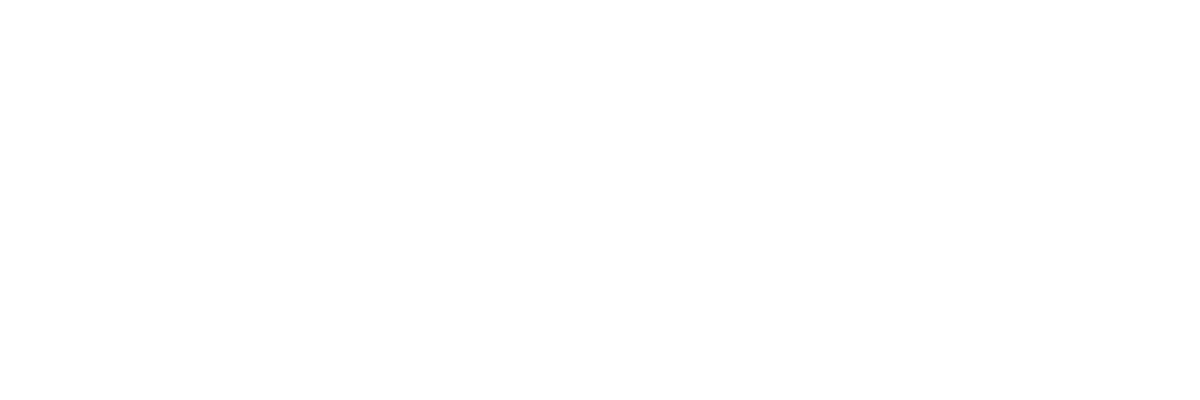 Vision Segura